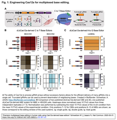 Cas12a