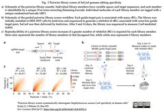 CRISPRメモ_2018/07/30 (3件)