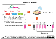 Protein Evolution