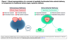 Rethinking CRISPR delivery
