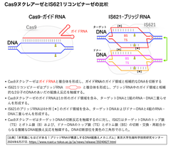 Cas9とIS621の比較