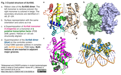 CRISPRメモ_2018/07/26 (4件)