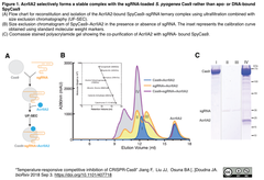 CRISPRメモ_2018/09/05-2 (機構 4件)