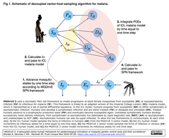 MGDrivE 3: 蚊の遺伝子制御ツールとサーベイランスの疫学的シミュレーションのための、ベクターとヒトを分離したフレームワーク