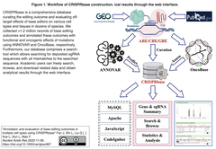 CRISPRbase
