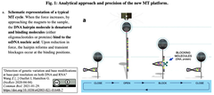 Fig.1 2021-02-02 14.14.53