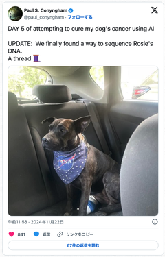オーストラリアにて, AI企業の設立者が, ChatGPTに学びAlphaFoldを駆使して設計したmRNAがんワクチンが愛犬を救った物語