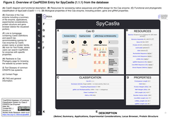 スクリーンショット 2024-01-14 11.14.30