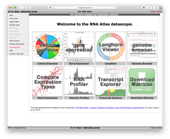 RNA Atlas: ヒト・トランスクリプトームのこれまでになく包括的なアトラスを構築・公開