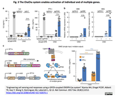 Engineering cell sensing and responses using a GPCR 2