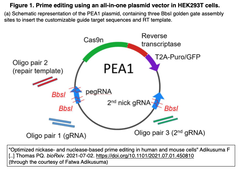 Fig.1