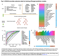 Decoding the role of chromatin context　5
