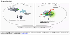 Programmable, target-induced fluorogenic GA