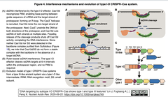 Fig.4