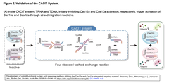 Development of a multifunctiona Figure 2