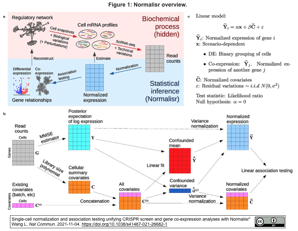 Normalisr Scrna Seqにおける遺伝子調節と共発現の統計的推論のための正規化と相関検定のフレームワーク Crisp Bio