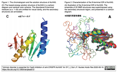 AcrIIA5