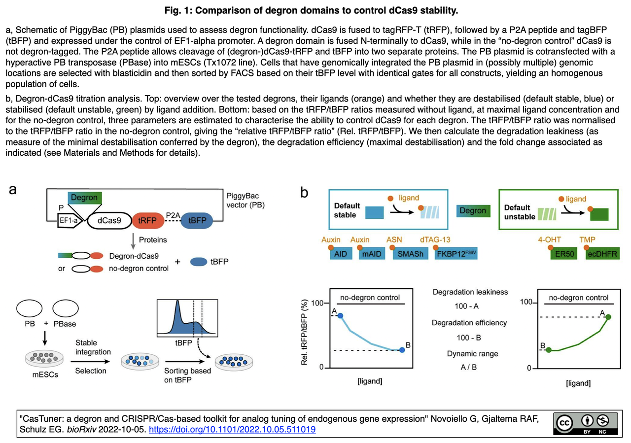 crisp_bio
	  CasTurner: デグロンとCRISPR/Casをベースとする内在遺伝子発現のアナログチューニング・ツール
	コメント