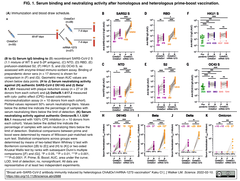 スクリーンショット 2022-03-04 10.56.22