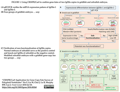 CRISPRメモ_2018/07/21 (4件)