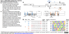HIV-1