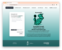RummaGEO Web