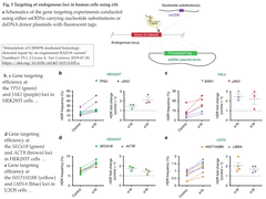 CRISPRメモ_2019/07/31 (4件)