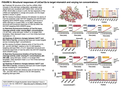 SDS‐CRISPR FIGURE6