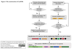 CasPDB Fig. 1