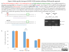 CRISPRメモ_2017/11/29-2（個別化編集、精密挿入など７件）