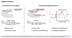 Functional decoupling of crRNA