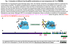 Cas12a Fig. 1