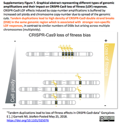 CRISPRメモ_2018/05/30 - 1 (縦列反復増幅がCRISPRスクリーンに与える影響など5件)