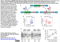 CRISPRメモ_2017/12/24（コンビナトリアル・スクリーン法、sgRNA設計、ナノキャリア開発など15件）