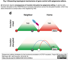 Epigenome editors 3