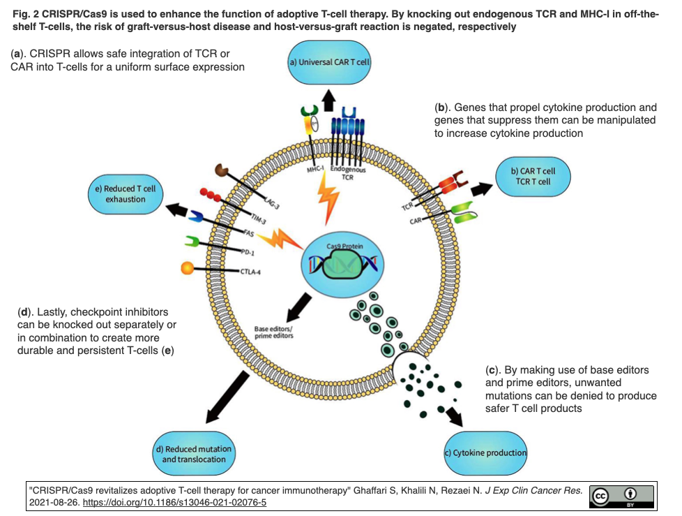 レビュー Crispr Cas9が癌療法の養子t細胞療法を活性化する Crisp Bio