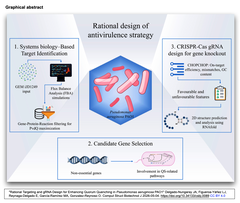 Rational Targeting and gRNA