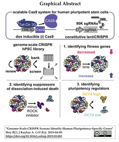 iPSC 1