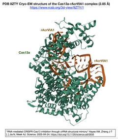 スクリーンショット 2025-04-25 8.58.17