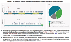 Systematic characterization of pan‐cancer 3