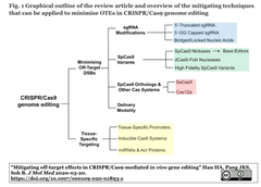 [レビュー] CRISPR/Cas9のオフターゲット編集抑制と組織特異的編集
