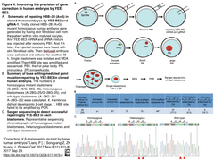 CRISPRメモ_2018/08/25 (5件)