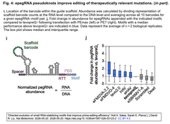 “Directed evolution of small RNA 4-i,j