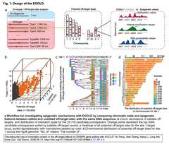 Decoding the role of chromatin context 1
