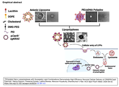 相乗効果のある脂質組み合わせを用いたPEG化ナノリポポリプレックスによるCRISPR/Cas9プラスミドの高効率非ウイルス細胞送達