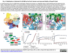 SupreFi-Cas9 4