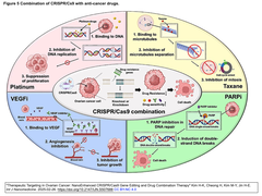 Nanomedicine 5