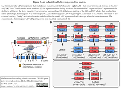 Gene Drive