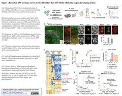 AAV-Perturb-seq 1