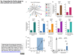 Engineering cell sensing and responses using a GPCR 3